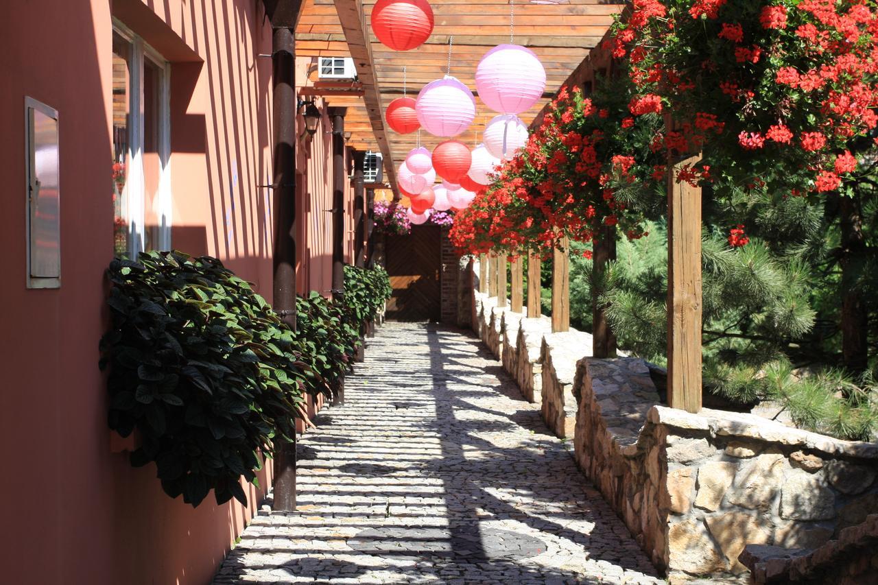 Hotel Restauracja Pustelnik Wisla Mala Bagian luar foto